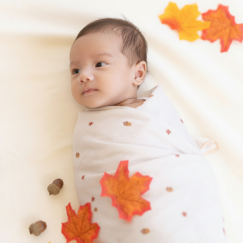 Saeson Tencel™ Swaddling Cloth (New Collection) ผ้าห่อตัวใยเทนเซล 47 x 47 นิ้ว บรรจุ 2 ชิ้น