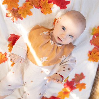 Saeson Tencel™ Bandana Bib (New Collection) ผ้ากันเปื้อนทรงสามเหลี่ยม ใยเทนเซล