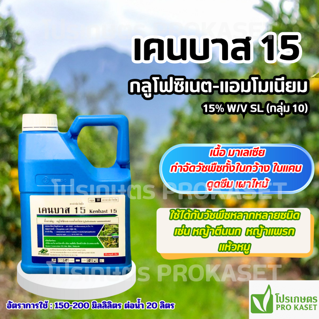 เคนบาส 4 ลิตร (กลูโฟซิเนต-แอมโมเนียม) สารกำจัดวัชพืชฉีดคันนา ลูบข้าวดีด ทั้งใบกว้าง และใบแคบ ของแท้ ตรงจากบริษัท