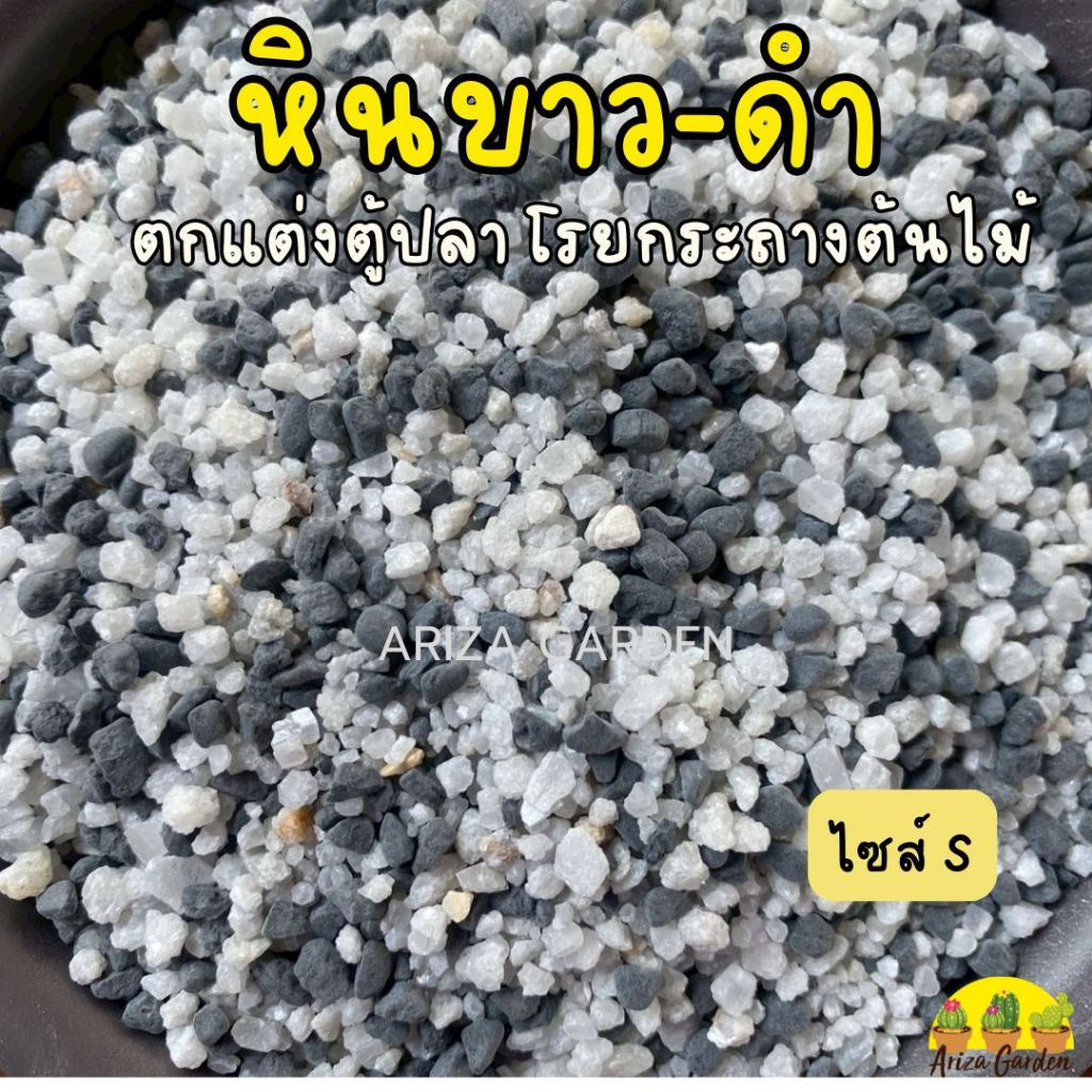หินขาวดำ S หินใส่ตู้ปลา หินโรยหน้ากระถาง หินตกแต่งตู้ปลา ใส่ตู้ปลาโดนน้ำสวยมาก