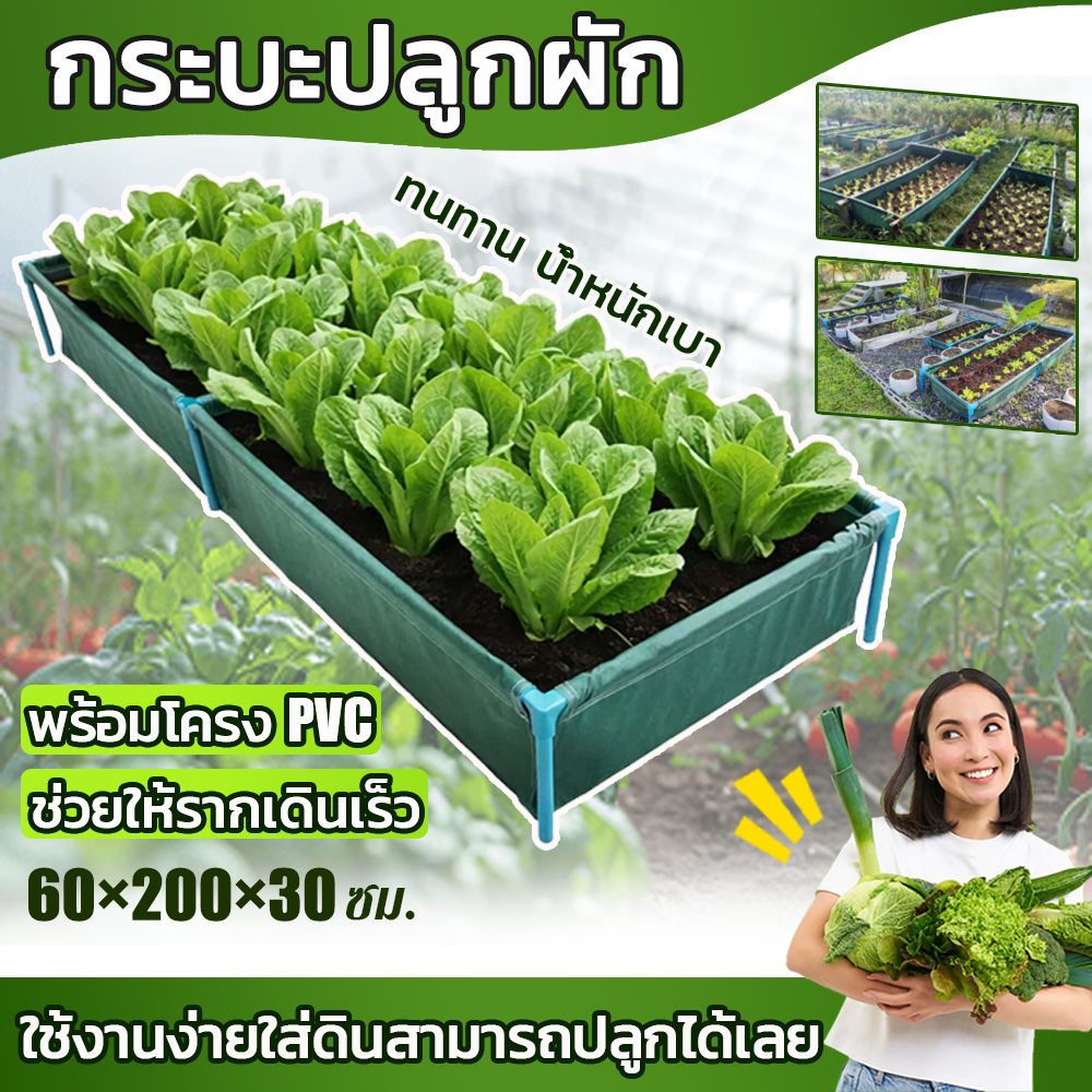 【พร้อมส่ง】กระบะปลูกผักสวนครัว แปลงผักเพาะปลูก ขนาด​ 60x200x30cm แปลงผักเพาะปลูก กะบะเพาะปลูก