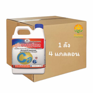 (ยกลัง 4 แกลลอน)ดูโอบาลานซ์แคล 5 ลิตร ตราหญิงงาม สูตรคีเลต แ…