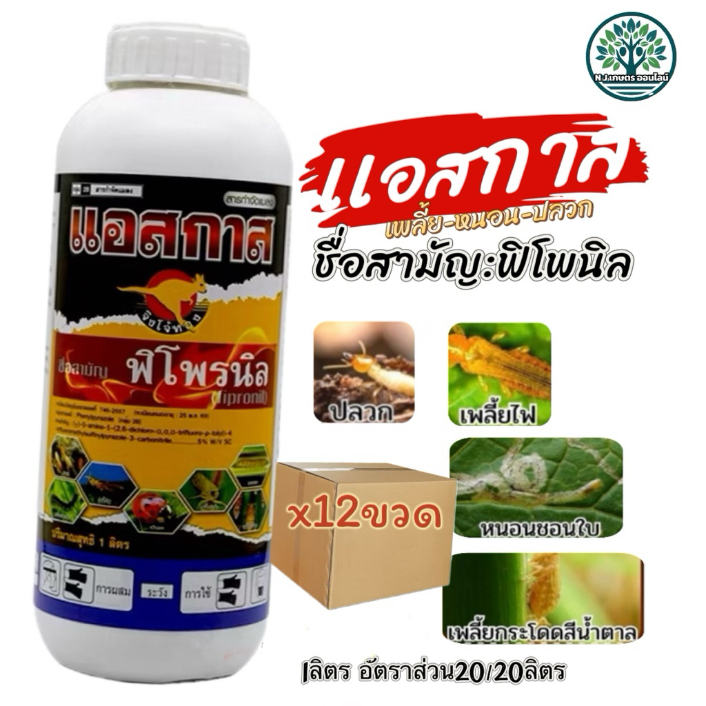 (ยกลัง12ขวด) แอสกาส(ฟิโพรนิล) ตราจิงโจ้ทอง กำจัด เพลี้ยไฟ เพลี้ยกระโดด เพลี้ยจั๊กจั่น หนอน กอ หนอนเจาะ แมลงเต่าทอง