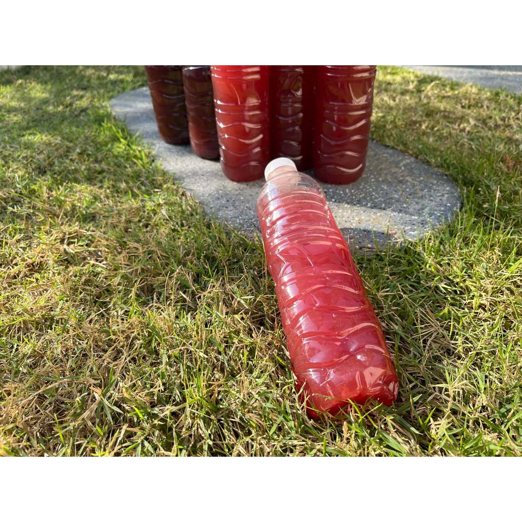 จุลินทรีย์สังเคราะห์แสง(Photosynthetic Bacteria - PSB)