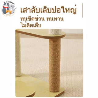 [พร้อมส่ง]🐱 คอนโดแมว ที่นอนแมว 2 ชั้น หลุมแมว แคปซูลใส เตียงแมว เสาลับเล็บแมว แข็งแรง ไม่ล้ม