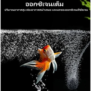 ปั๊มออกซิเจนตู้ปลา วิธีการจ่ายพลังงานสองวิธี: USB/พลังงานแสงอาทิตย์ เครื่องเติมอากาศในสระว่ายน้ำ