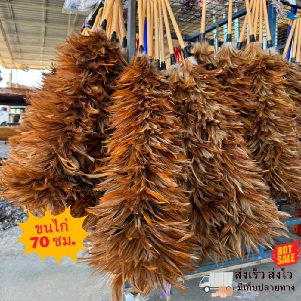 【จัดส่งทันที】ไม้ปัดขนไก่อย่างดี เกรดA ด้ามจับพลาสติก 60,50,40 ขนแน่นฟู ไม่หลุดง่าย ครบไซส์
