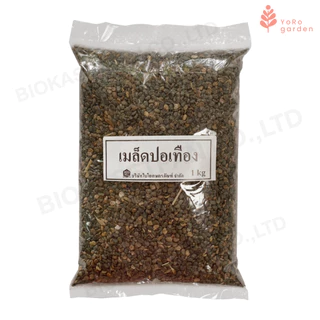 เมล็ดปอเทือง1kg รับประกันการงอก เมล็ดใหม่ปี2569 แห้ง งอกดี เพิ่มไนโตรเจนให้ดิน มีสต๊อกตลอดปี