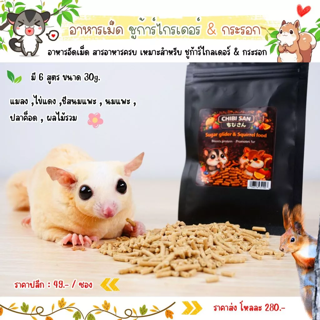 อาหารชูก้าร์ไกรเดอร์ กระรอก อาหารเม็ดเสริมโปรตีน ลดกลิ่นขับถ่าย chibi อาหารสัตว์เล็ก