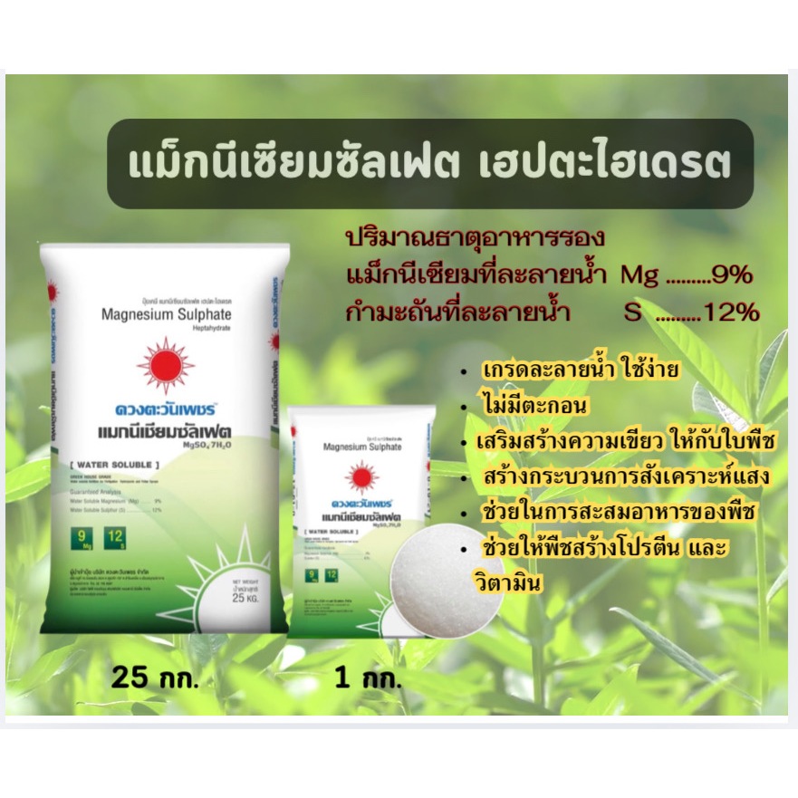 แม็กนีเซียมซัลเฟต เฮปตะไฮเดรต ตราดวงตะวันเพชร เสริมสร้างความเขียวให้กับพืช ส่งเสริมการสังเคราะห์แสงด้วยแม็กนีเซียม