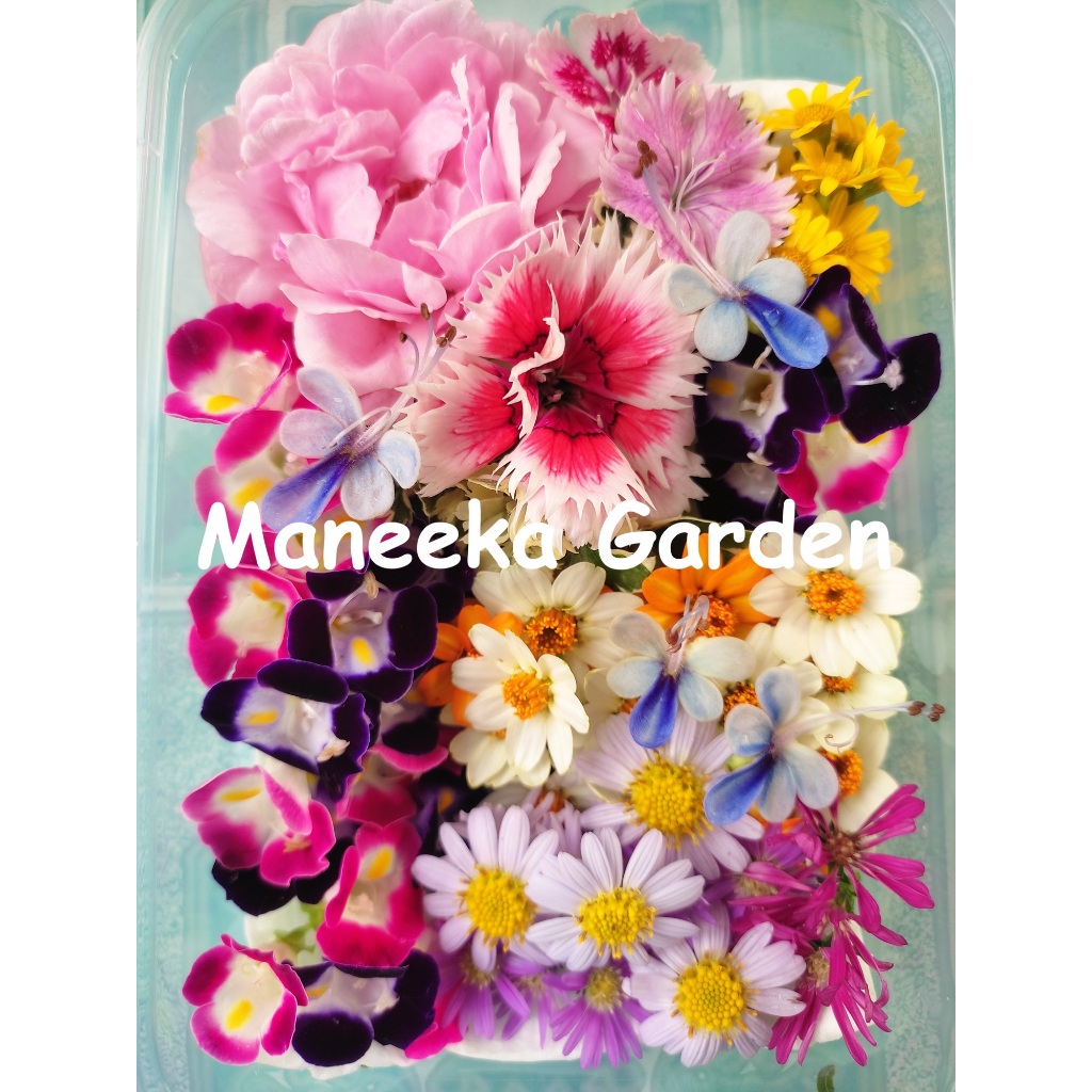 ดอกไม้แต่งขนม ดอกไม้กินได้ Edible flowers (ดอกไม้สดปลอดสารพิษ) ส่งด่วน Instant Delivery ทุกวัน