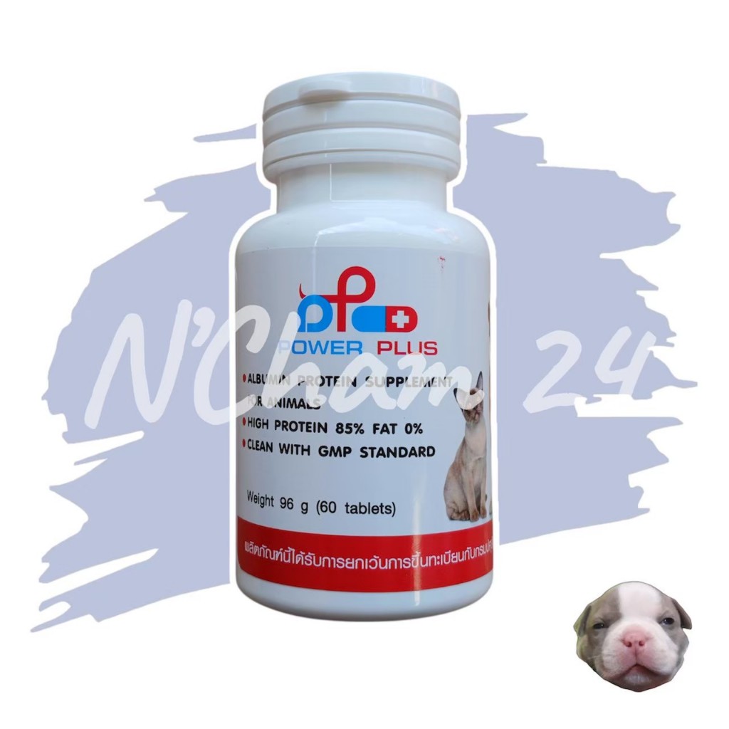 Pure Albumin Tablet (Exp.02/2027) อาหารเสริมโปรตีนชนิดเม็ด สำหรับสัตว์เลี้ยง 96g บรรจุ 60 เม็ด