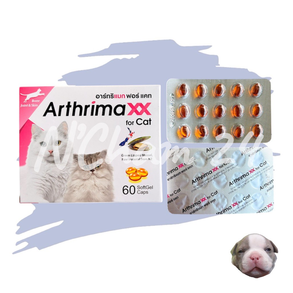 Arthrimaxx for Cat บรรจุ 60 เม็ด สำหรับแมว อาหารเสริมน้ำมันหอยแมลงภู่นิวซีแลนด์ Omega-3 บำรุงข้อ