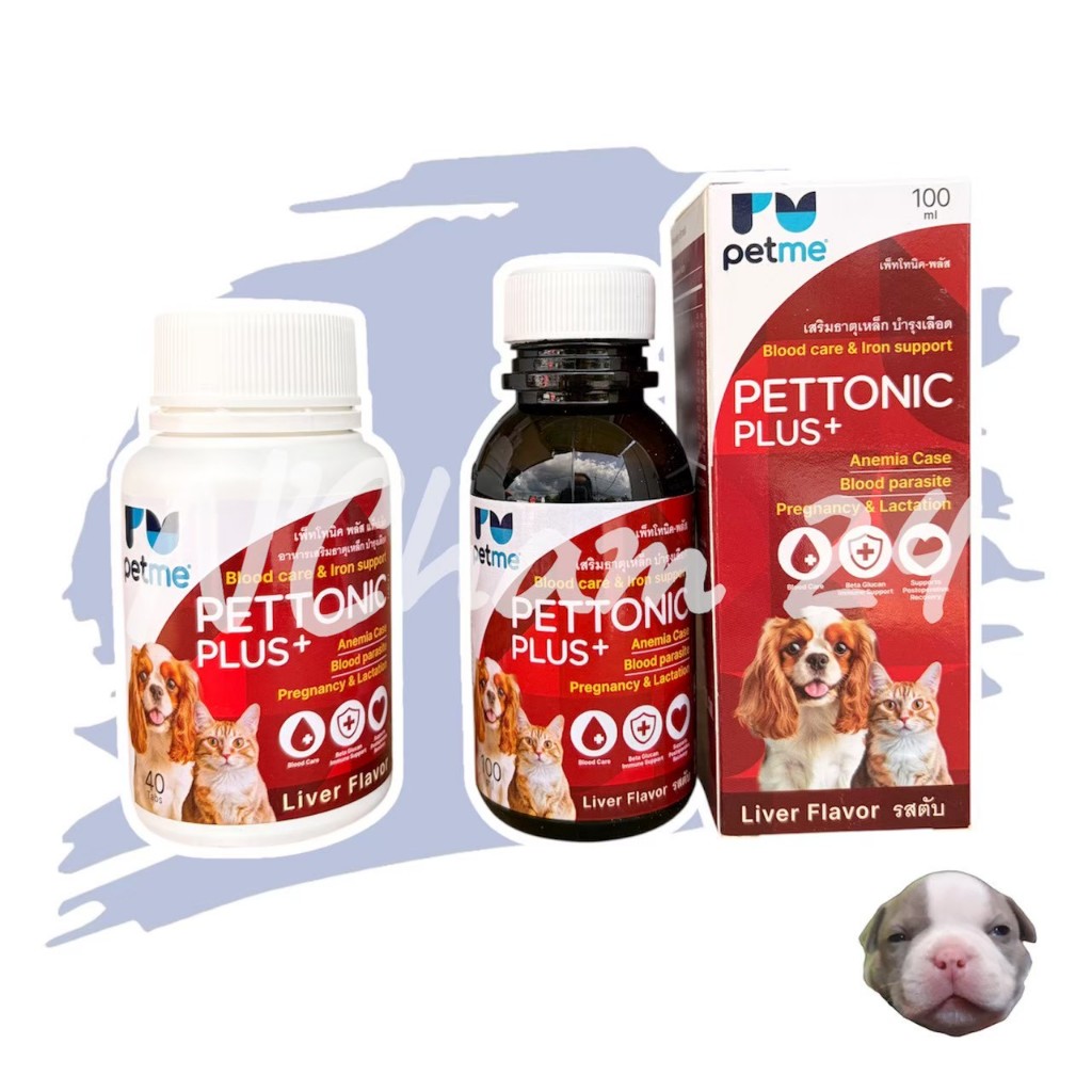 Pettonic Plus 100 ml หมดอายุ07/2027 อาหารเสริมบำรุงเลือดสุนัขและแมว กลิ่นเนื้อ