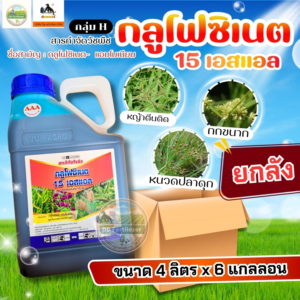 (ยกลัง6กล.) #กลูโฟซิเนต ขนาด 4 ลิตร ยกลัง 6 แกลลอน กลูโฟซิเนต แอมโมเนียม 15 % SL #ร้านปุ๋ยดีเด่น
