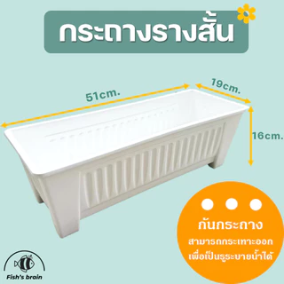 กระถางราง กระถางต้นไม้ กระถางรางสั้น กระถางรางยาว