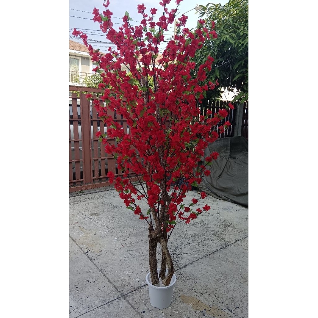 ซากุระประดิษฐ์สีแดงความสูง 1.50 เมตร ต้นไม้เทียมเกรดเอ สำหรับตกแต่งบ้าน คาเฟ่ อาคารสำนักงาน อื่นๆ