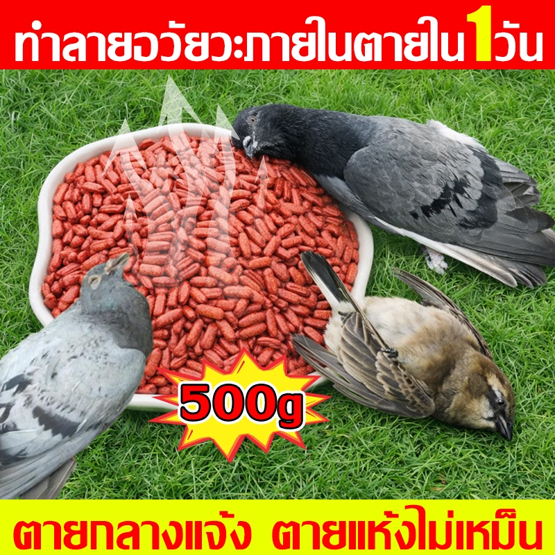 แลนเนท ยาเบื่อนก ยากำจัดนกพิราบ ผลิตจากธัญพืช ยาฆ่านกพิราบ 500กรัมทำลายอวัยวะภายในตายใน 1วัน 200% ได้ผล ยาเบื่อ นกพิราบ