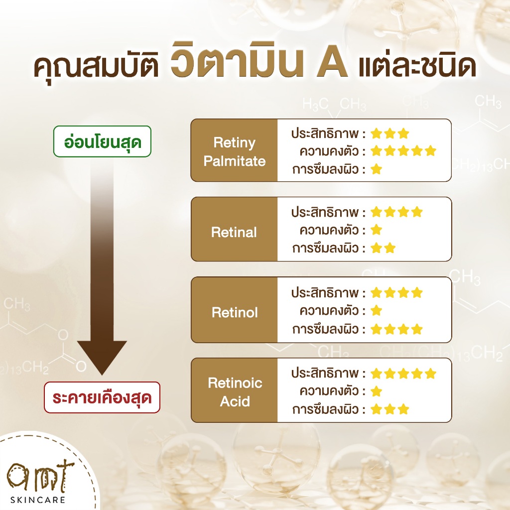 AMT Anti-aging & Intensive Moisturizing Night Cream 30g - ไนท์ครีมลดเลือนริ้วรอย ต่อต้านอนุมูลอิสระ ล็อกความชุ่มชืน รูปที่ 5