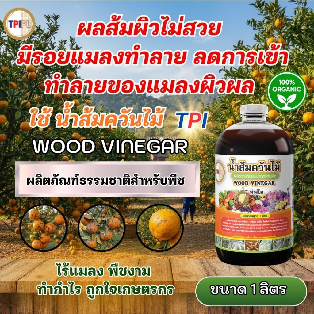 ผลส้มผิวไม่สวย มีรอยแมลงทำลาย ลดการเข้าทำลายของแมลงผิวผล ด้วยน้ำส้มควันไม้ TPI