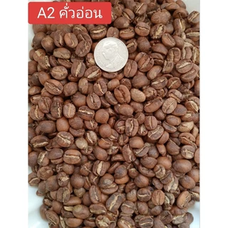 กาแฟพิเศษ เกรดA กลิ่นไวน์ Wine Flavour Coffee ภูชี้เดือน เชียงราย Anearobic Process