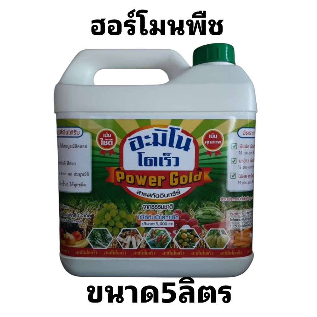 ฮอร์โมนพืชทางใบอะมิโนโตเร็ว ช่วย บำรุง ใบ ดอกผลให่สมบรูณ์ติดดอกออกดกขยายผลเพิ่มน้ำหนักขนาด5ลิตร