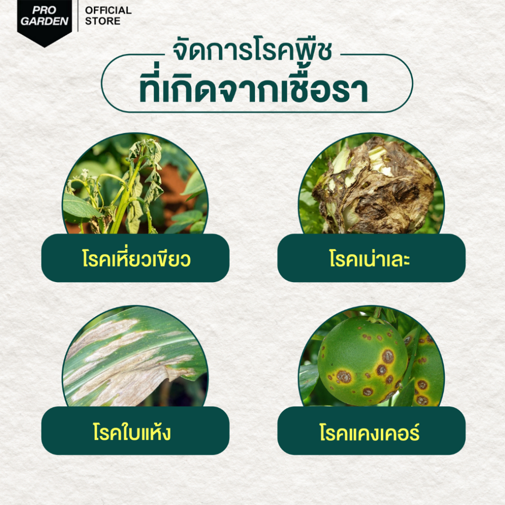 ราน้ำ 2 + เร่งราก 1 ProGarden ป้องกันและกำจัดโรคที่เกิดจากเชื้อรา - แบคทีเรีย สารสกัดจากธรรมชาติ - รูปที่ 3