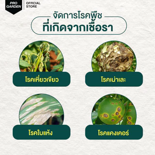 ProGarden ป้องกันและกำจัดเชื้อรา (ชนิดผสมน้ำ) ราใบจุด ราน้ำค้าง สารสกัดธรรมชาติ ไร้กลิ่น ไร้สารเคมี กับพืชทุกชนิด