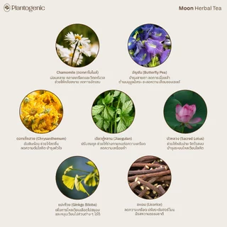 Plantogenic - Moon Herbal Tea ชาคาโมไมล์ อัญชัน และสมุนไพร ไม่มีคาเฟอีน ไม่มีน้ำตาล (Plant-Based)
