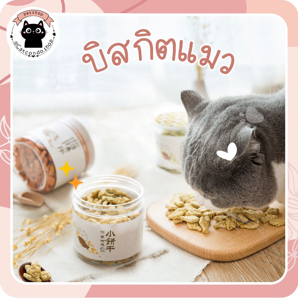 🌵 บิสกิตเเมว ขนมเมว คุกกี้เเมวรสมิ้น กลิ่นใบมินต์ ช่วยสำรอกก้อนขน รูปร่างปลาขนาดเล็ก 🌵