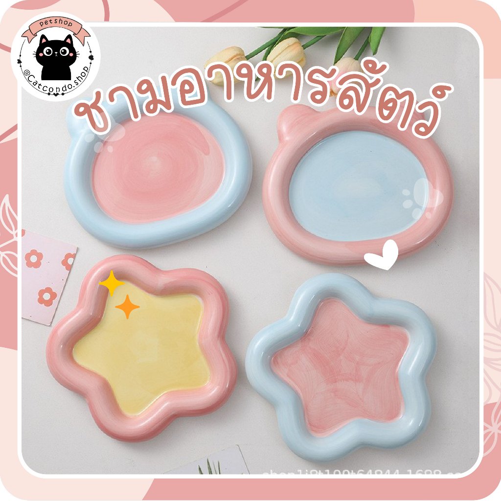 🌵 ชามแมว ขนาด15cm ลายหมี น่ารัก สีพาสเทล เข้าไมโครเวฟได้ ชามสุนัข ชามสัตว์เลี้ยง 🌵