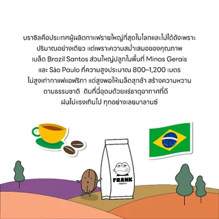 Frank's : เมล็ดกาแฟคั่วกลางเข้ม บลาซิล ซานโต้ส Brazil Santos เกรดพรีเมี่ยม 200g.-1kg.(Single Origin)