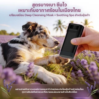 yoyopet : Paw Care บาล์มทาเท้า บาล์มบำรุงอุ้งเท้า Paw Balm สูตรใหม่ ชาโคล ลดกลิ่น ลดแห้งแตก อุ้งเท้านุ่ม
