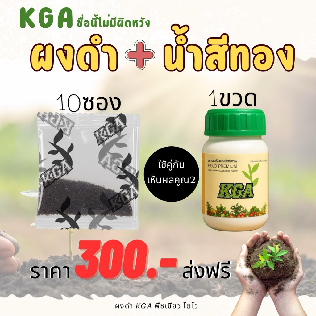 ผงดำKGAและน้ำสีทองKGAตัวช่วยบำรุงพืชให้เขียวงาม