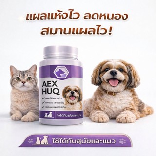 AEXHUQ เสริมอาหารสุนัข แมว แผลแห้งไว ลดการอักเสบ สมานแผล