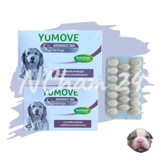 Lintbell Yumove advance 360 Dog แพ็คเกจใหม่ (แบ่งขาย) บรรจุแผงละ 20 เม็ด อาหารเสริมบำรุงข้อ กระดูก