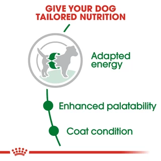 [EXP4/2027] ROYAL CANIN MINI ADULT 15KG สุนัขโตพันธุ์เล็ก