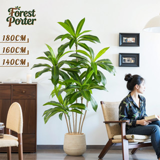 เป็นต้นไม้สำหรับคนขี้เกียจอันดับหนึ่ง💖ต้นไม้ปลอมใหญ่ 140/160…