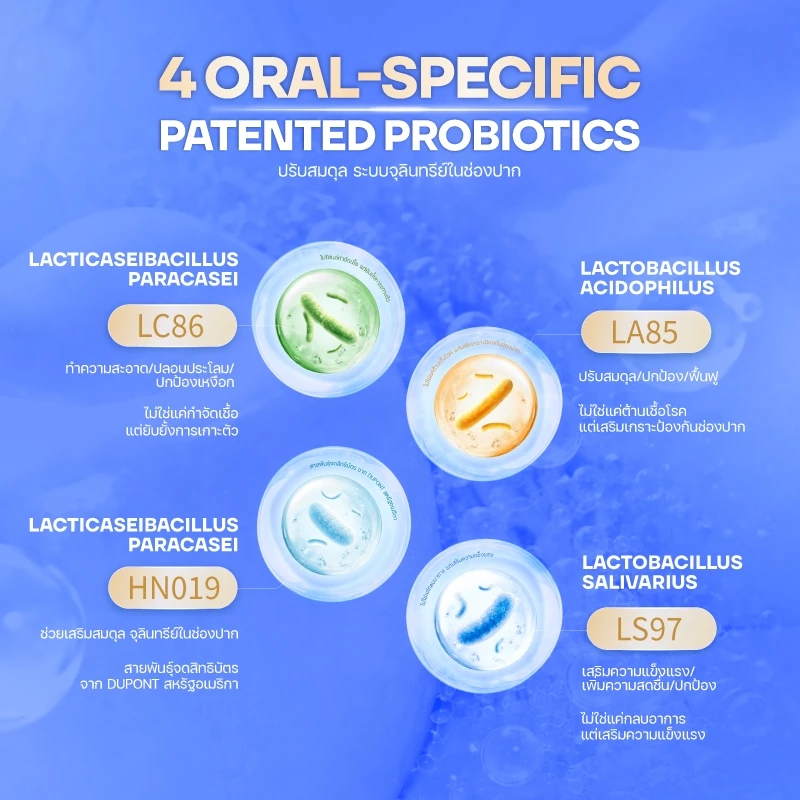 UPLIV 30เม็ด-โพรไบโอติกช่องปาก Oral Probiotics 50พันล้านCFU ฟองละลายทันทีใน 1 วินาที ขจัดกลิ่นปาก รักษาสุขภาพลำไส้ thumbnail 5