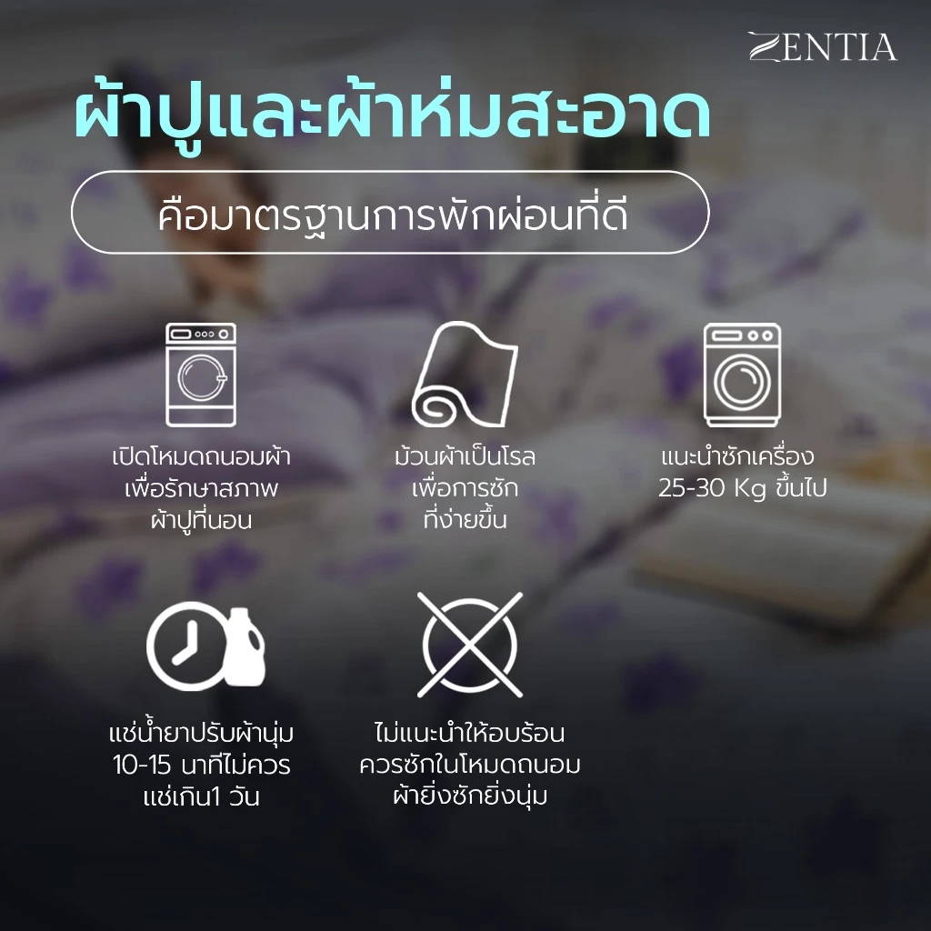 ZENTIA ชุดผ้าปูและผ้านวม รุ่น Super Soft Collection ลายลูกคุณหนู TN thumbnail 9