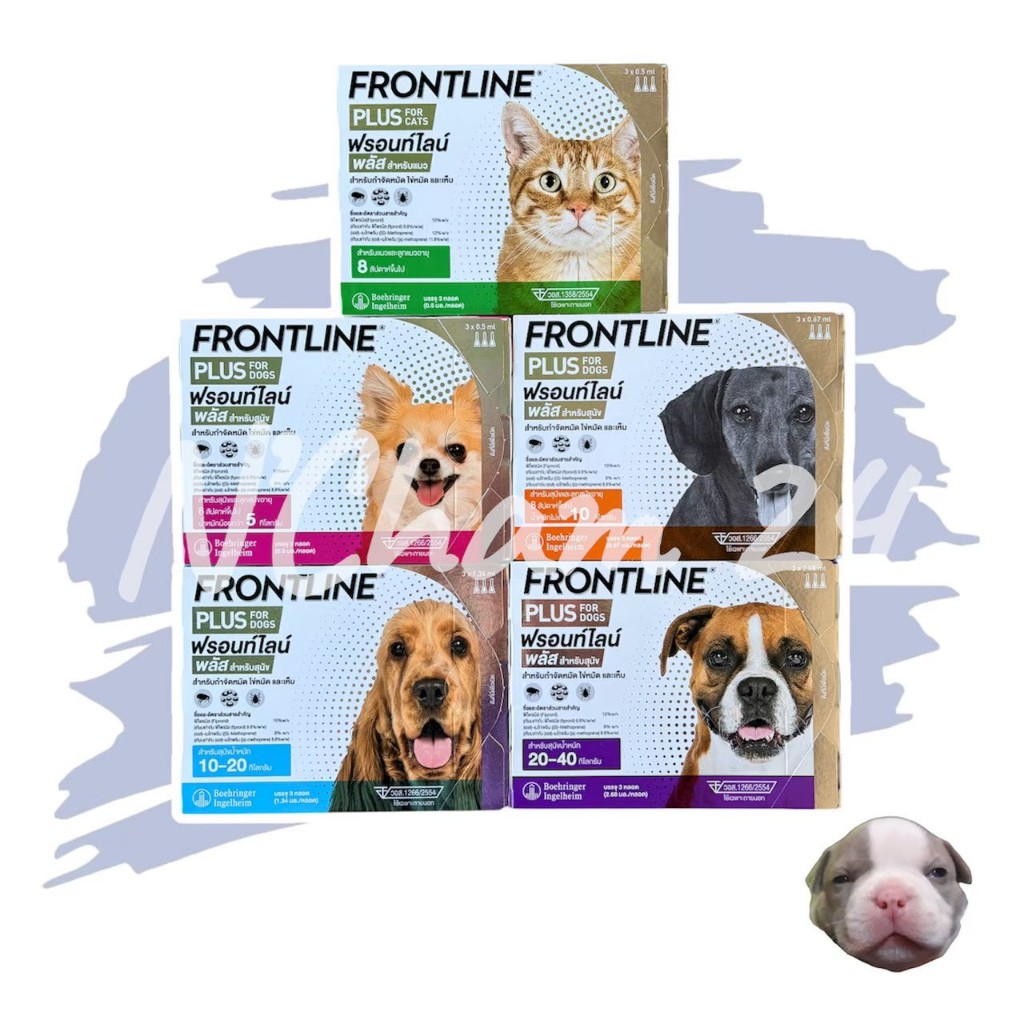 Frontline Plus ยาหยดกำจัดเห็บ หมัด ไข่หมัด ครบวงจร ปกป้องสัตว์เลี้ยง