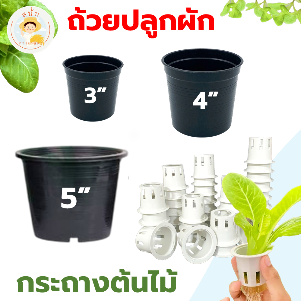 ถ้วยปลูกผักไฮโดรโปนิกส์ ถ้วยปลูกผัก กระถางต้นไม้ กระถางปลูกต้นไม้  ขนาด 2 3 4 5 นิ้ว