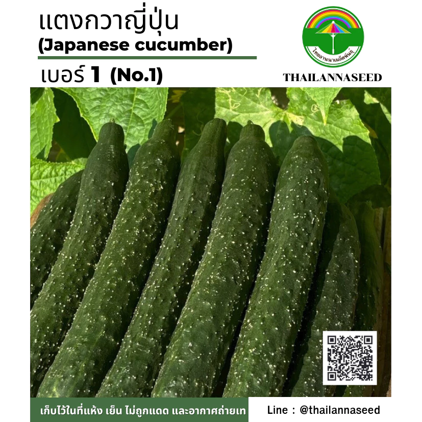 เมล็ดพันธุ์ผักสวนครัว แตงกวาญี่ี่ปุ่น เบอร์ 1 จำนวน 10 เมล็ด รหัสสินค้า 6058