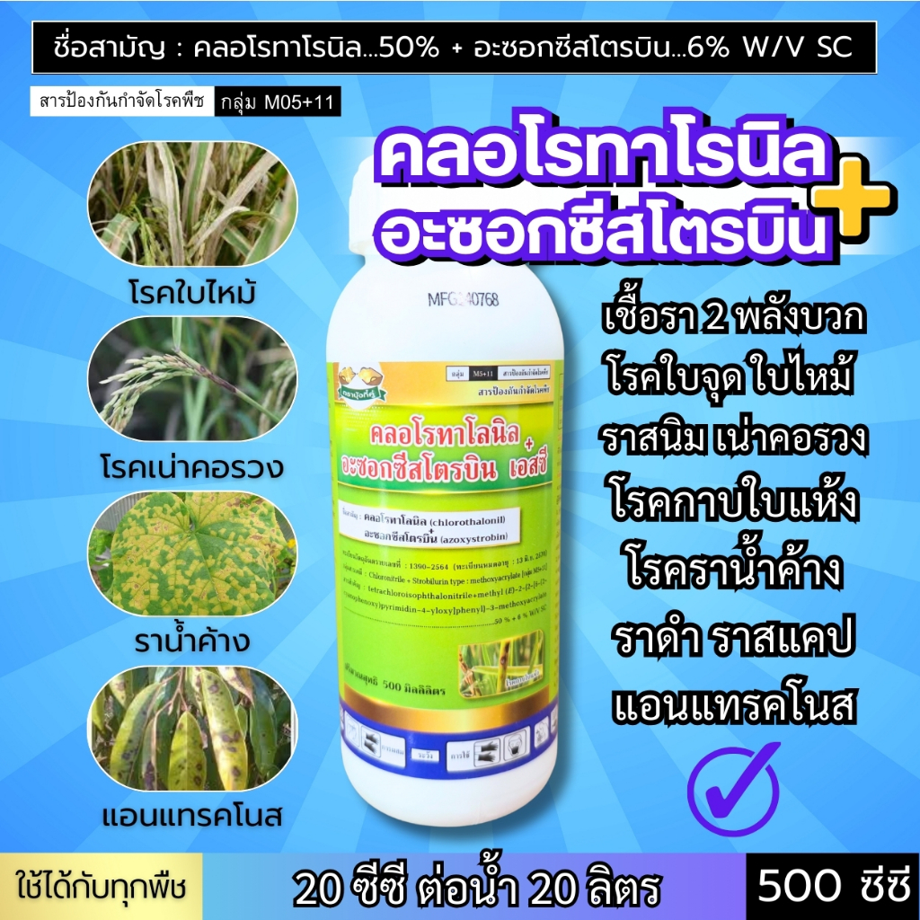 (ขวดขาว) คลอโรทาโลนิล+อะซอกซีสโตรบิน (2 พลังบวก) โรคใบไหม้ เน่าคอรวง ราน้ำค้าง แอนแทรคโนส ราสนิม ราดำ ราสแคป : 500 ซีซี