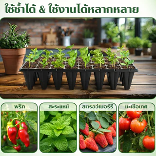 ลึกและหนาขึ้น ถาดเพาะกล้า ถาดเพาะกล้าข้าว ถาดเพาะกล้า 105 หลุม ถาดปลูกต้นไม้ 21/32/50/72/105/128/200 หลุม