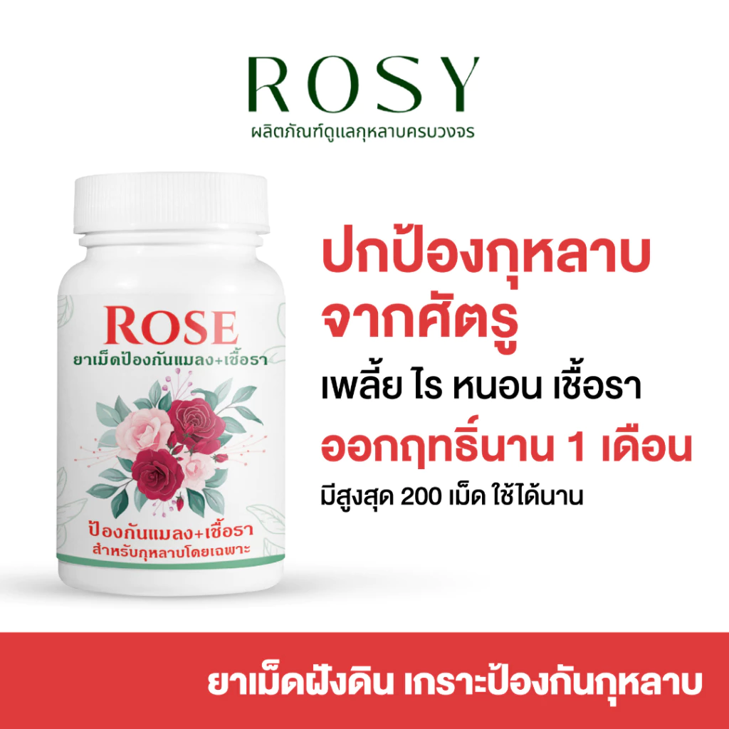 Rosy ยาเม็ดฝังดิน ป้องกันก่อนเกิดโรคและแมลง คุมนาน 1 เดือน เสริมภูมิต้านทาน ผนังเซลล์แข็งแรงทนต่อการเจาะดูดของแมลง