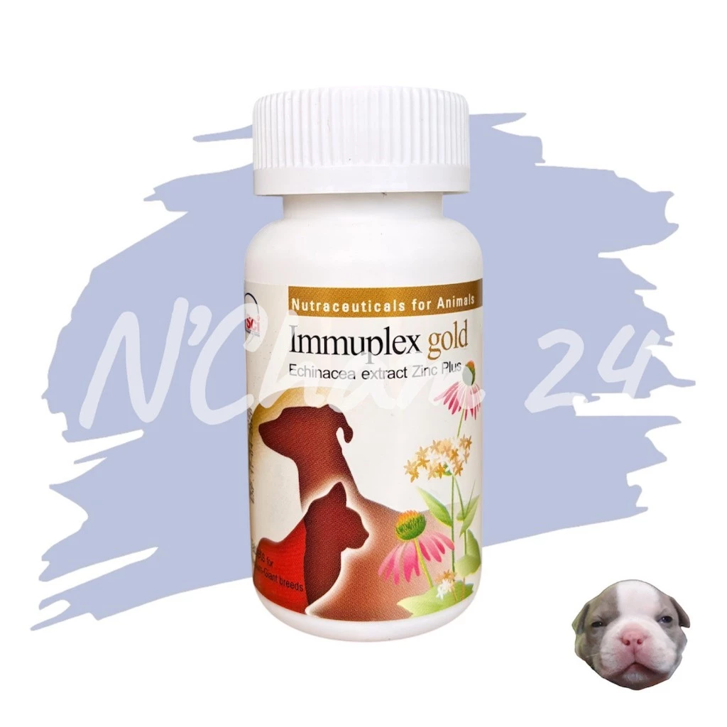 Immuplex B Gold cat dog 60 tabs(Exp.01/2028)อาหารเสริมภูมิต้านทาน สุนัขและแมว บรรจุ 60 เม็ด