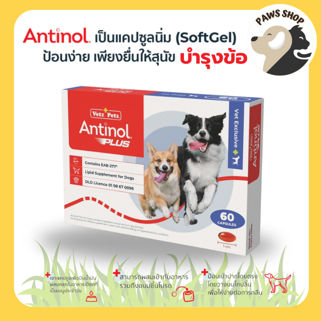[ถูกสุดของแท้] Antinol Dog ช่วยบำรุงข้อ กระดูก ขน ผิวหนัง และไต (ยกกล่อง 60 เม็ด)(แบ่งขาย 15 เม็ด ไม่มีกล่อง)