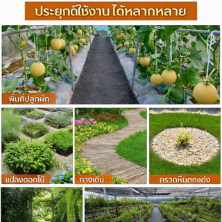 พลาสติกคลุมดิน ผ้าคลุมดิน พลาสติกคลุมหญ้า ฆ่าหญ้า 50 เมตร 100 เมตร คลุมวัชพืช ผ้าคลุมหญ้า กําจัดหญ้า【ผ้าป้องกันวัชพืช】