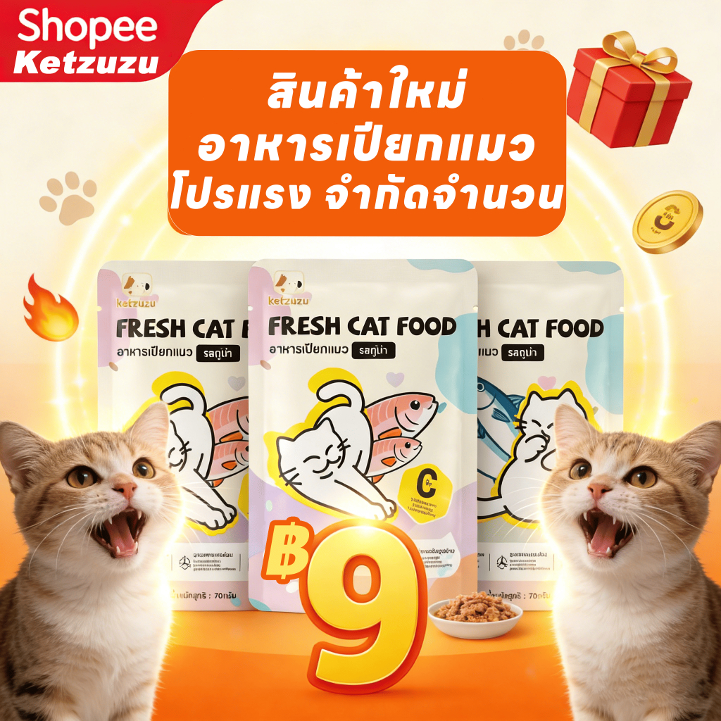 Ketzuzu อาหารเปียกแมว แบบซอง 70g สำหรับลูกแมวและแมวโต โภชนาการสมดุล เสริมทอรีน ครบทุกรสชาติ